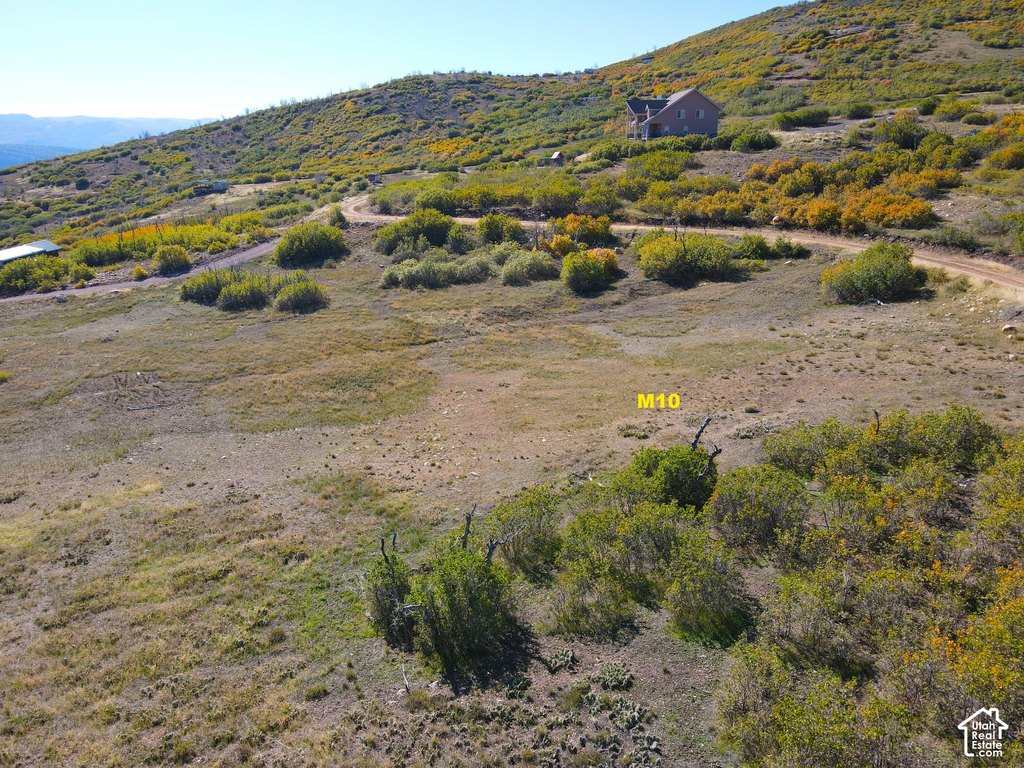 Picture 10