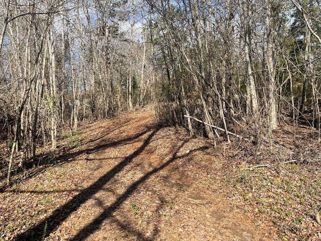 Picture 19