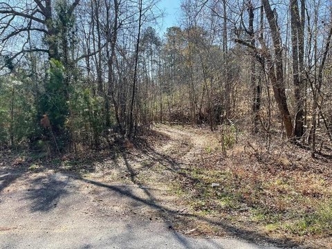 Unrestricted Land Near Abbeville