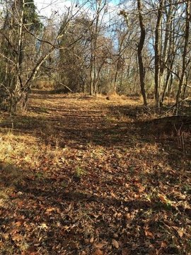 Secluded Hunting and Recreation Land