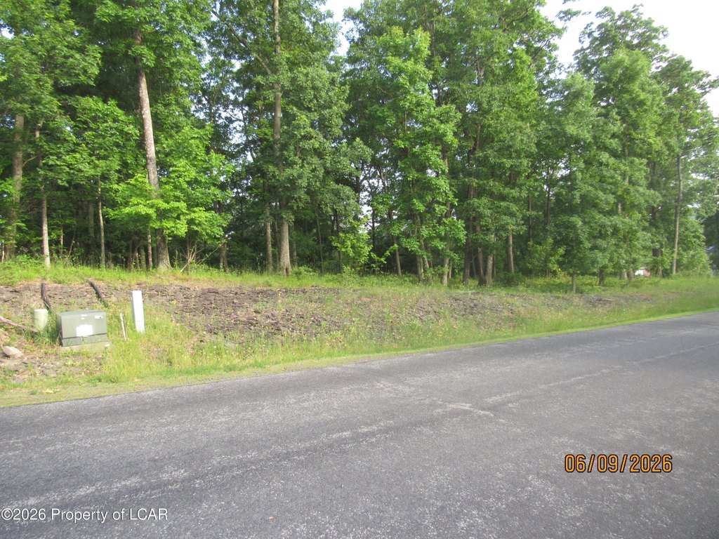 Picture 5