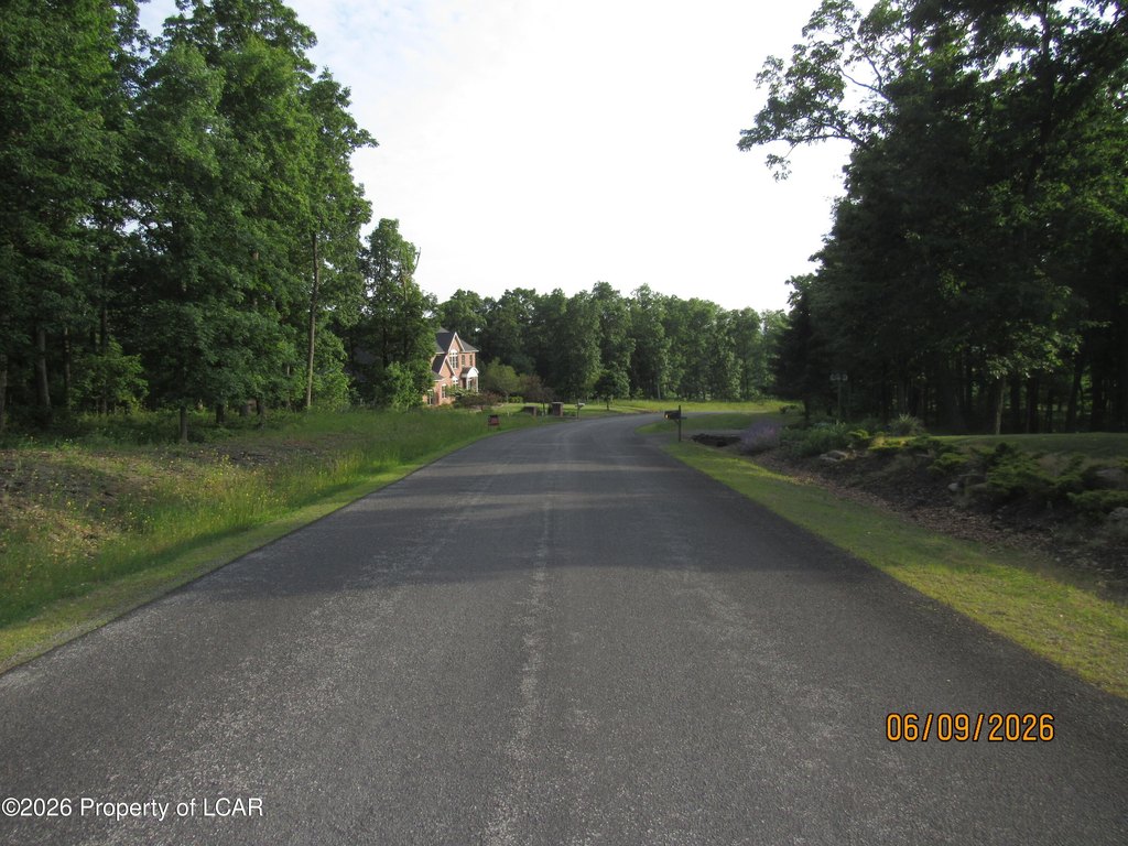 Picture 3