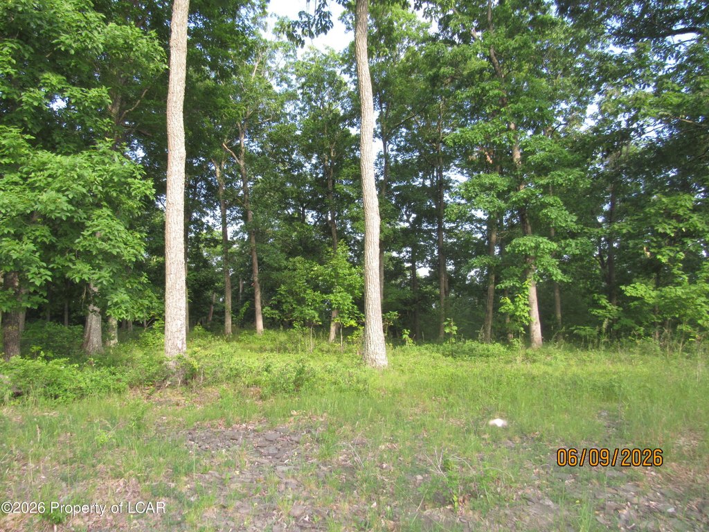Picture 6