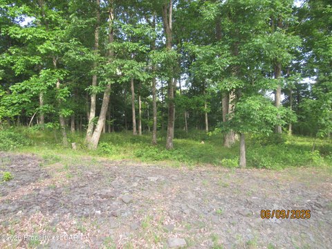 Vacant Land - Dallas, PA
