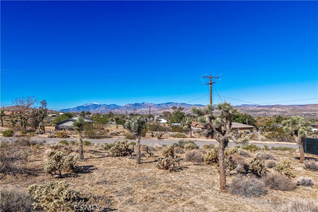 Picture 9