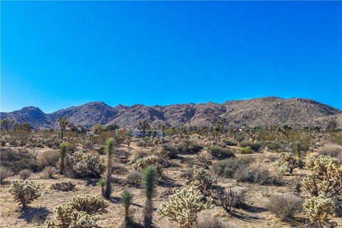 Land, Joshua Tree, CA