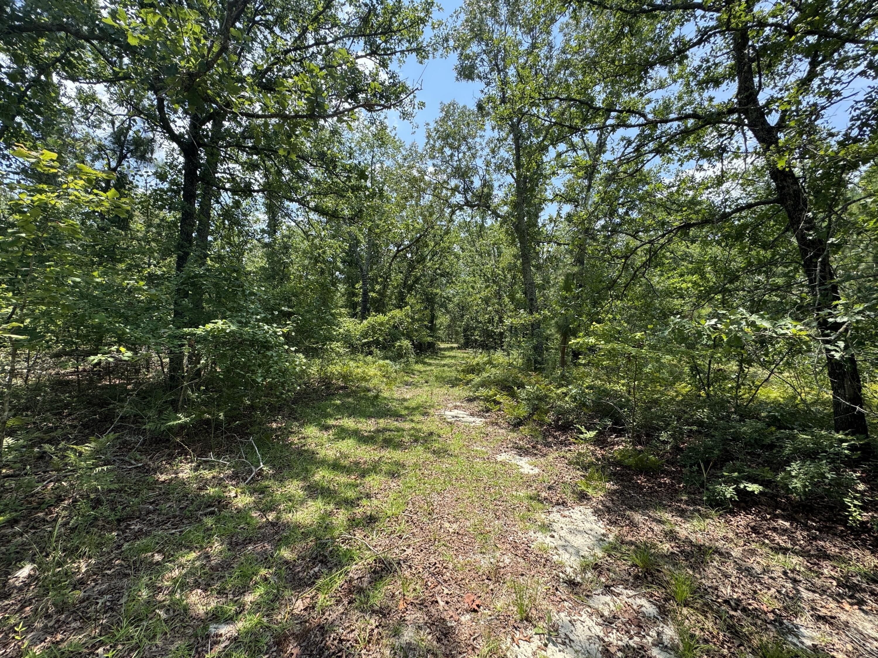 Secluded Land on Hard Luck