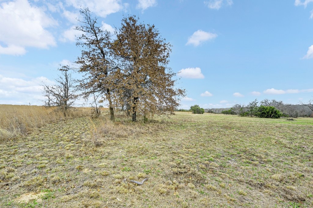 Picture 20