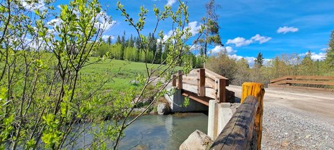 Wooded Waterfront Home Lot
