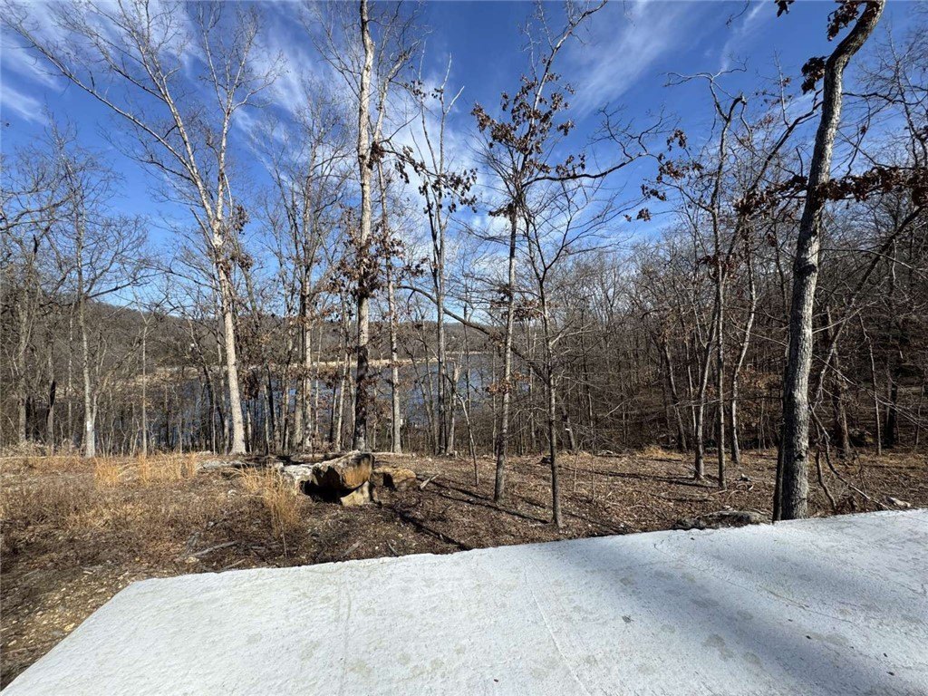 Picture 5