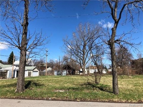 Detroit Land New Build Opportunity