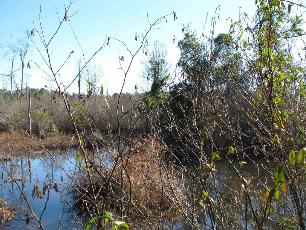 Picture 32
