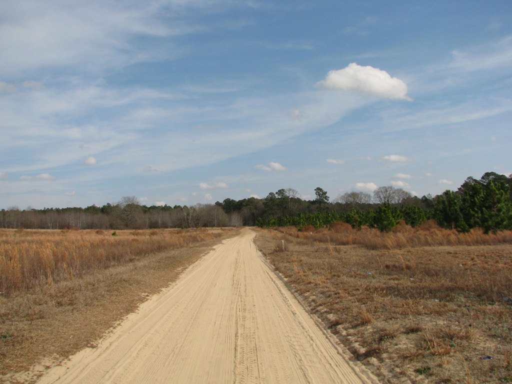 Picture 18