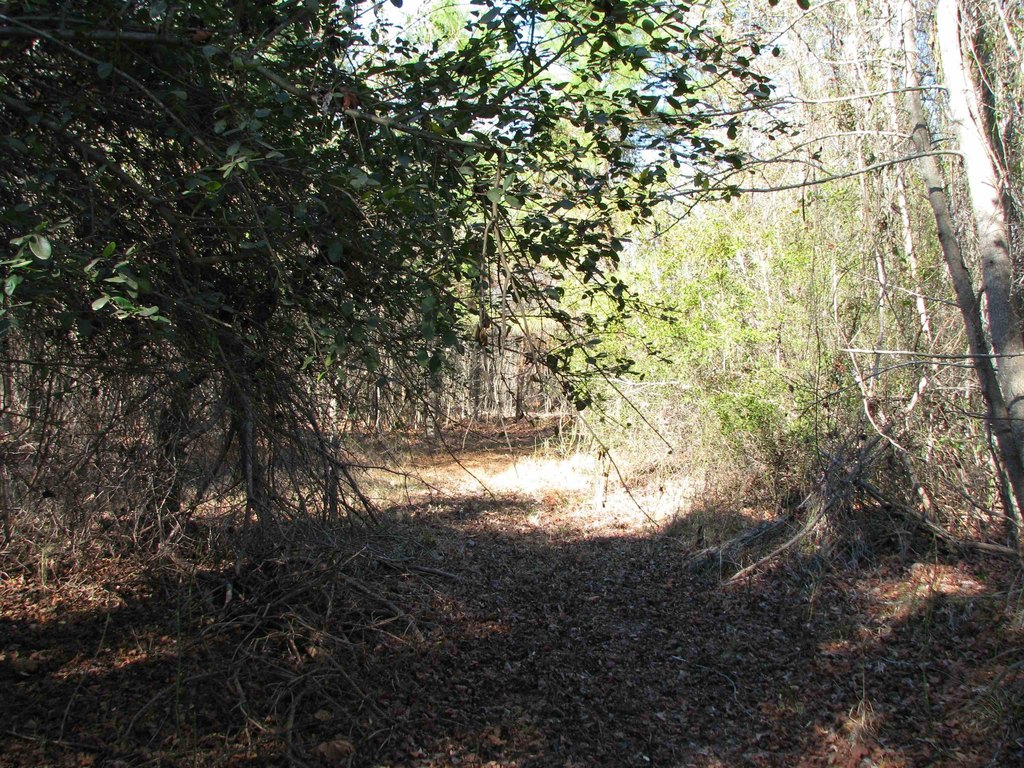 Picture 38