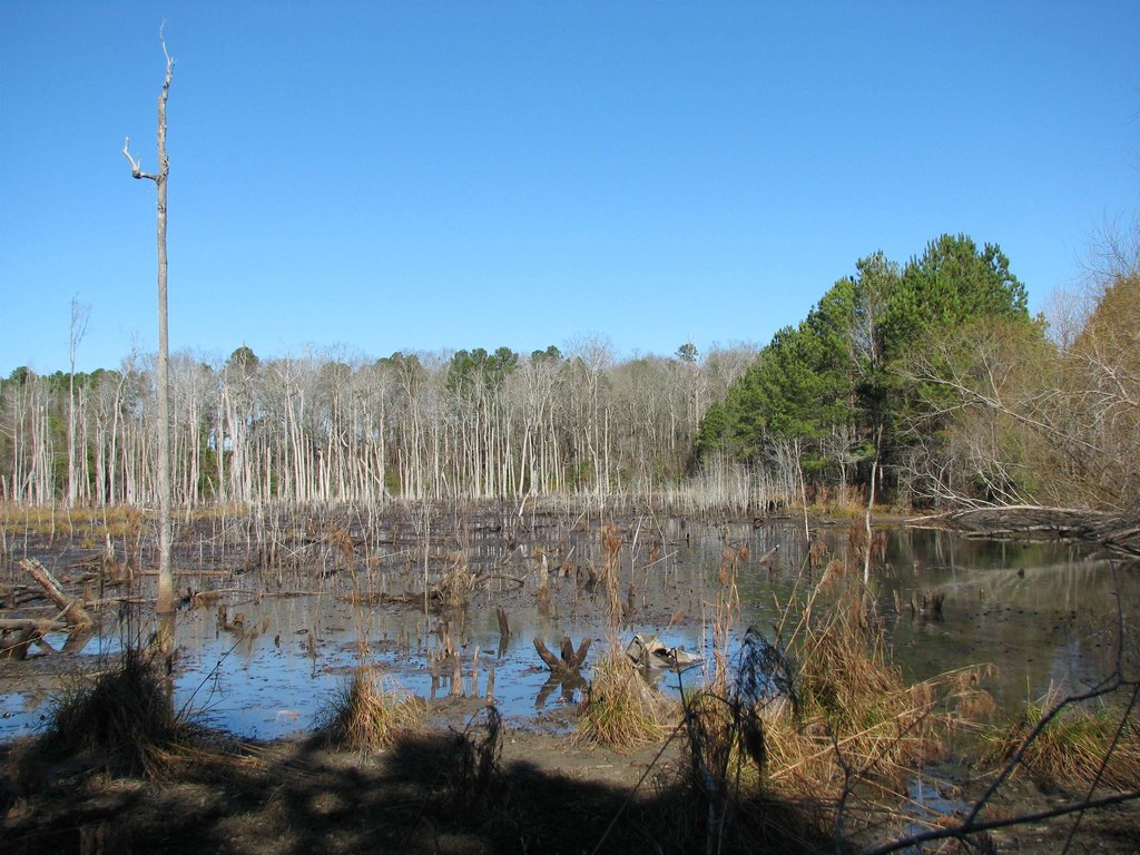 Picture 41