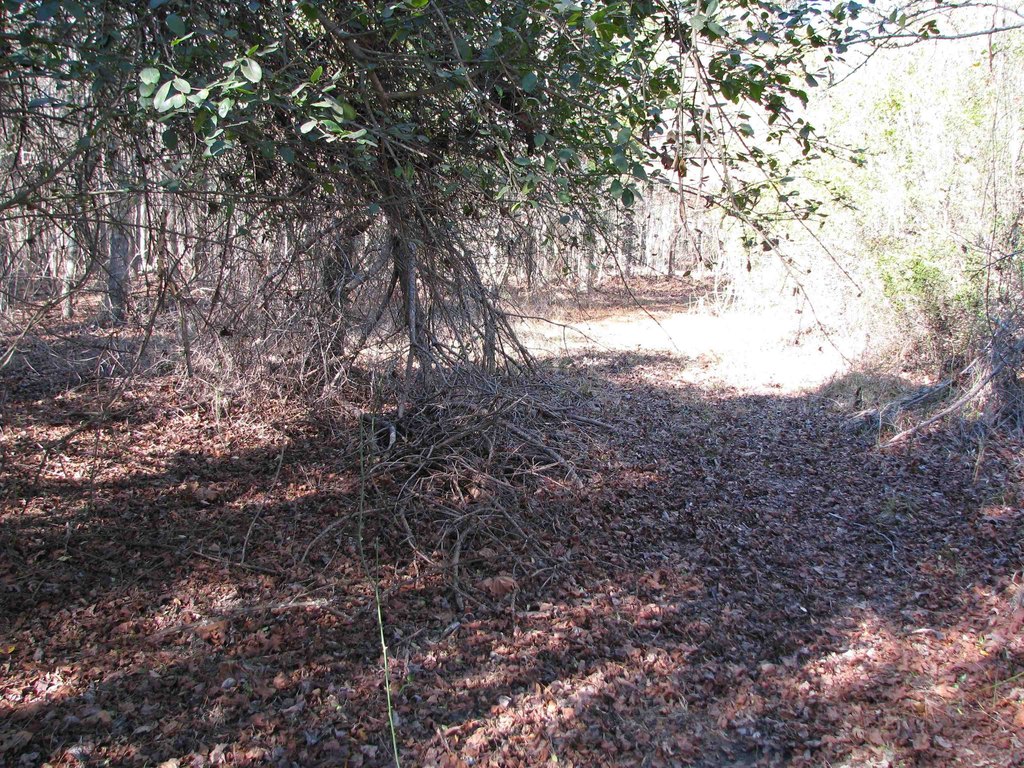 Picture 36