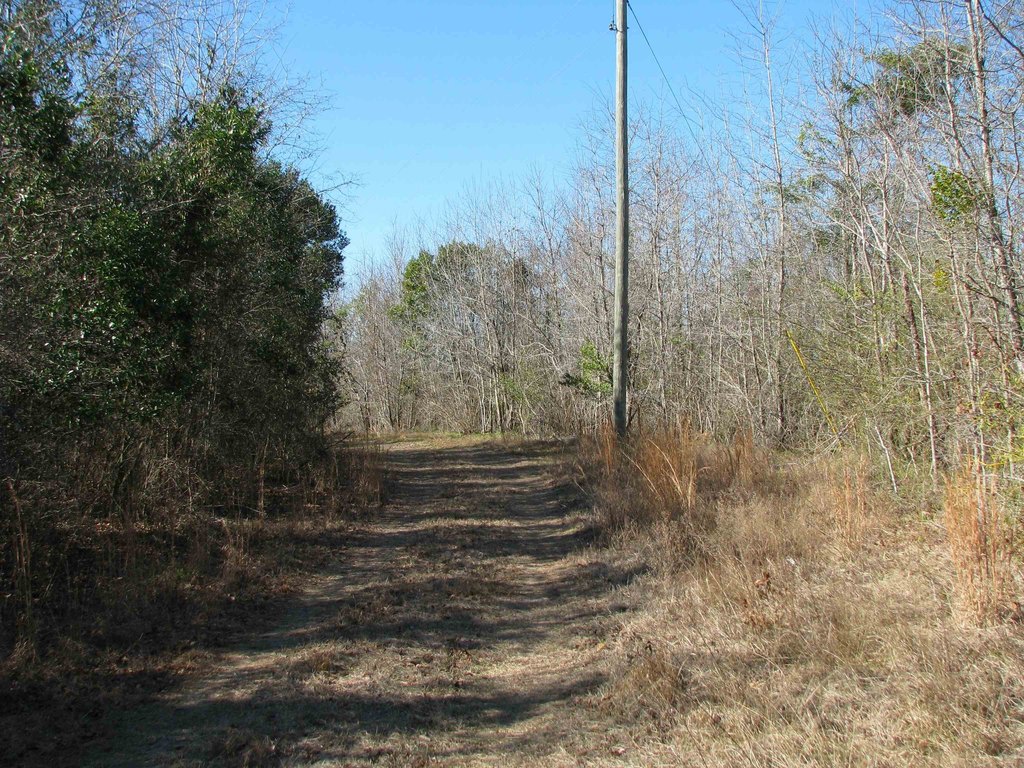 Picture 47