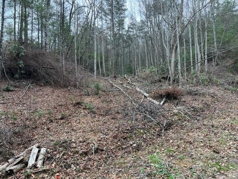 Sevierville Land for Development