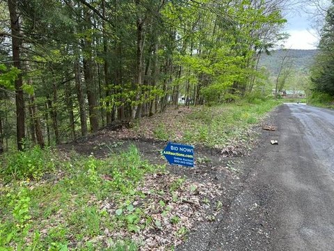 Vacant Land in Butternuts, NY