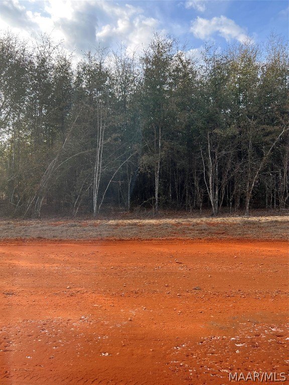 Land in Miller's Ferry