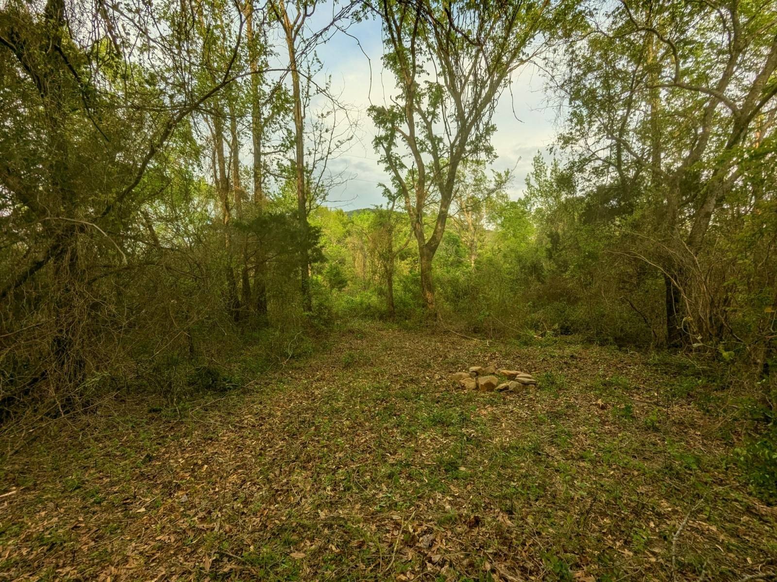 Recreational Land Near National Forest