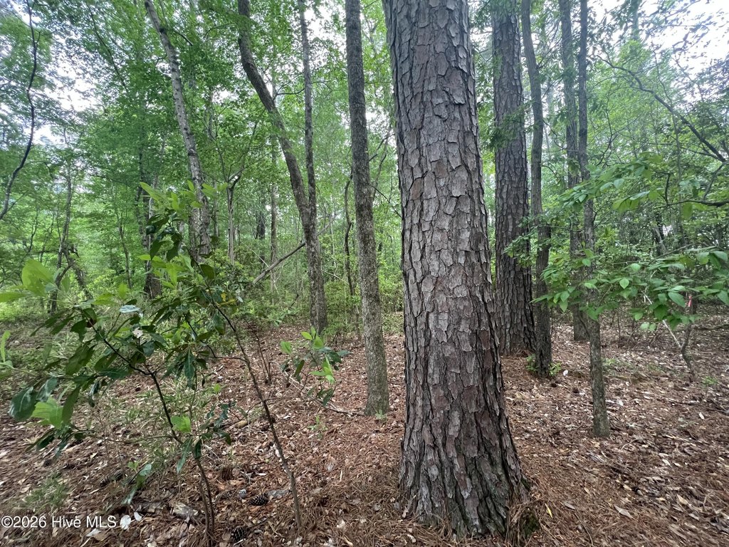 Picture 11
