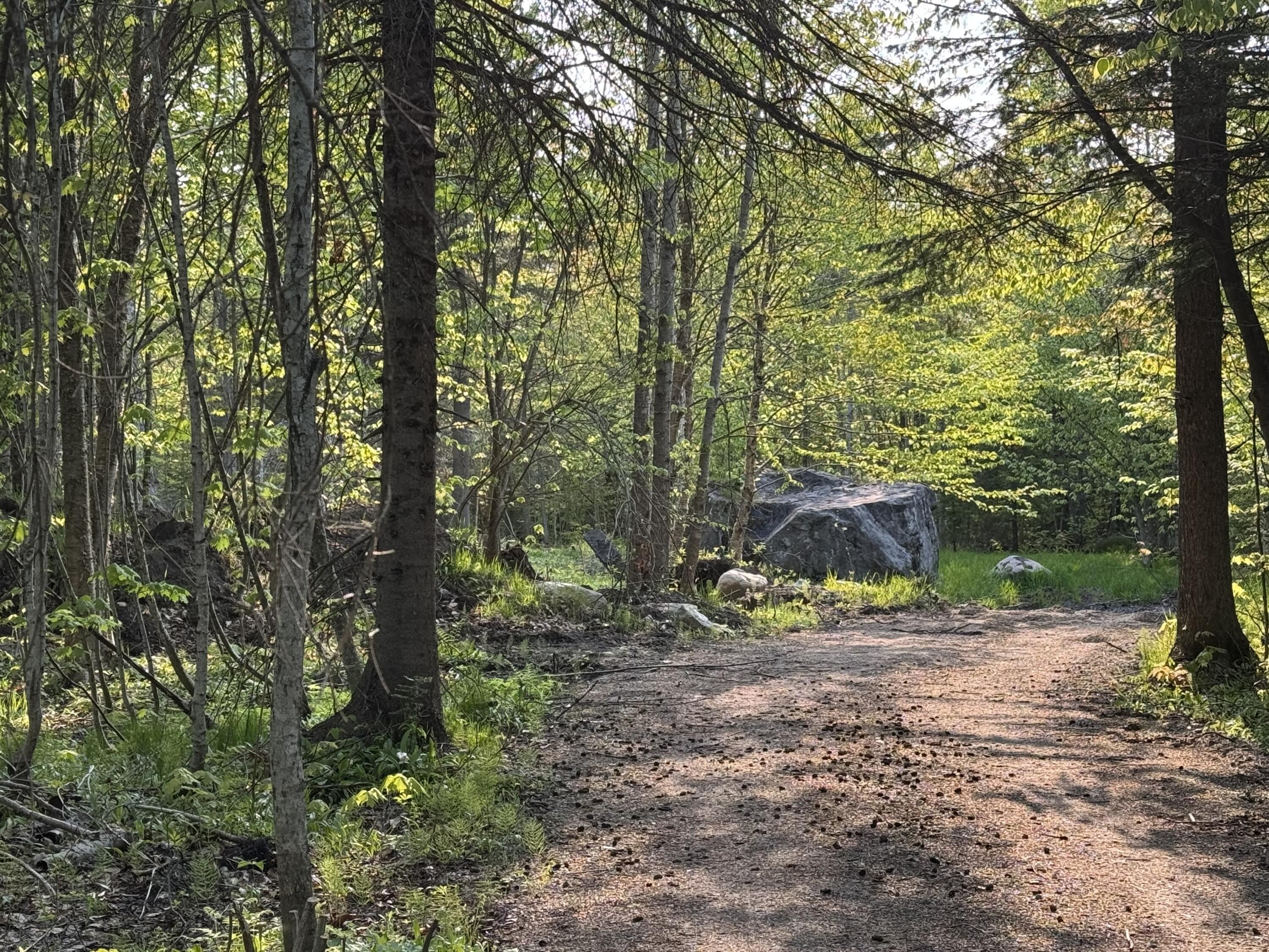 Wood Land - Grand Marais, MI