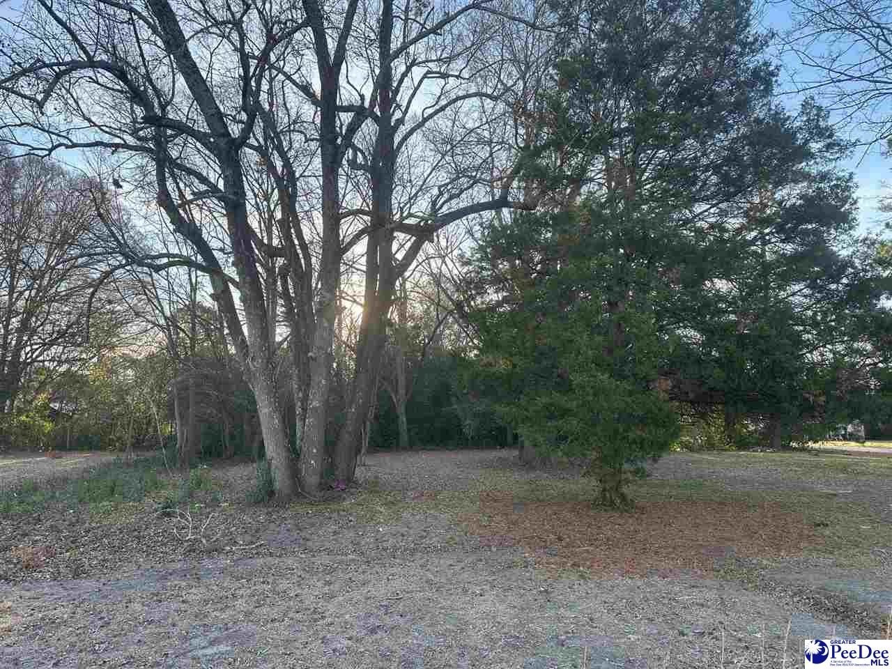 Residential Lot in Dillon, SC