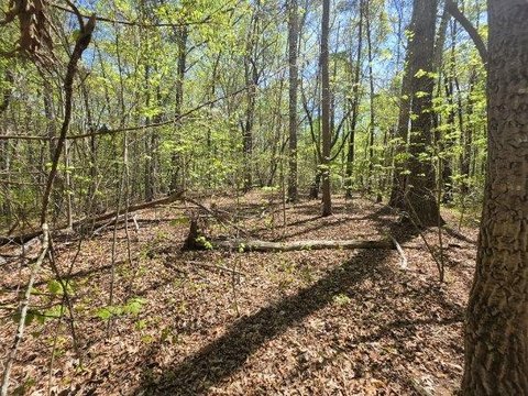 Residential Lot in Foxwood Hills