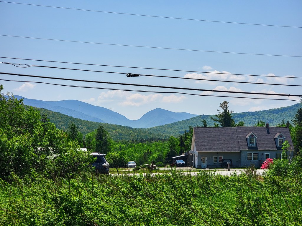 Picture 19