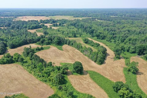 Lake Cormorant Home Sites