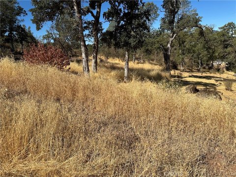 Clearlake Land/Lot Opportunity
