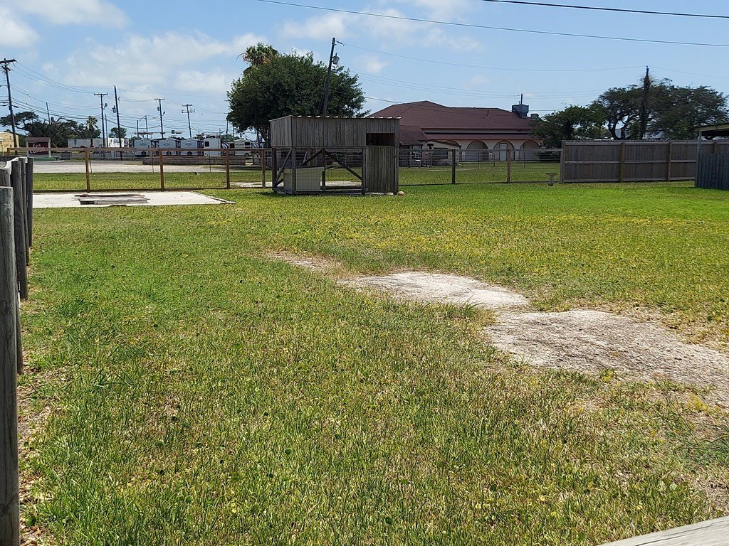 Picture 3