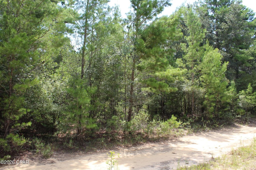 Picture 7