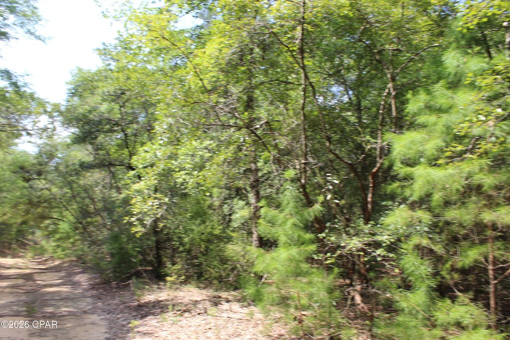 Picture 3