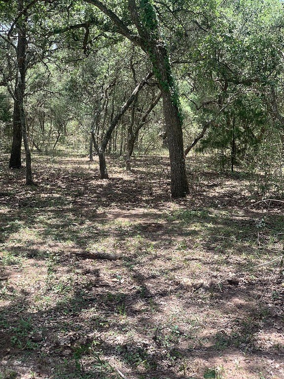 Picture 13