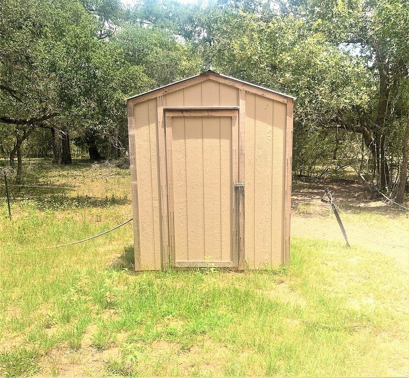 Picture 5