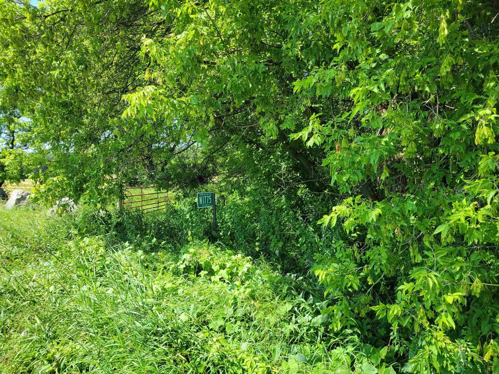 Picture 6