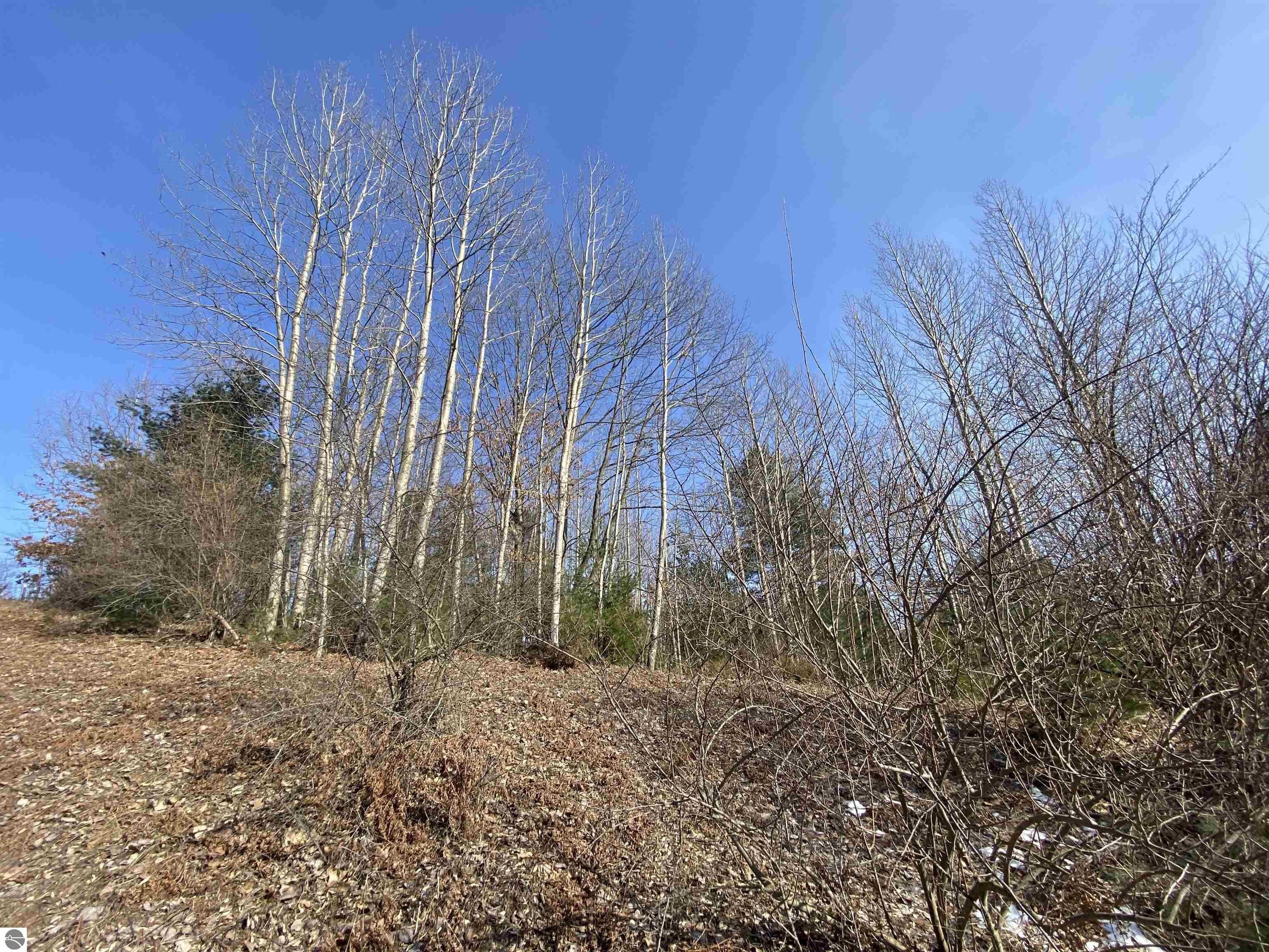 Residential Lot in Kirkridge Hills