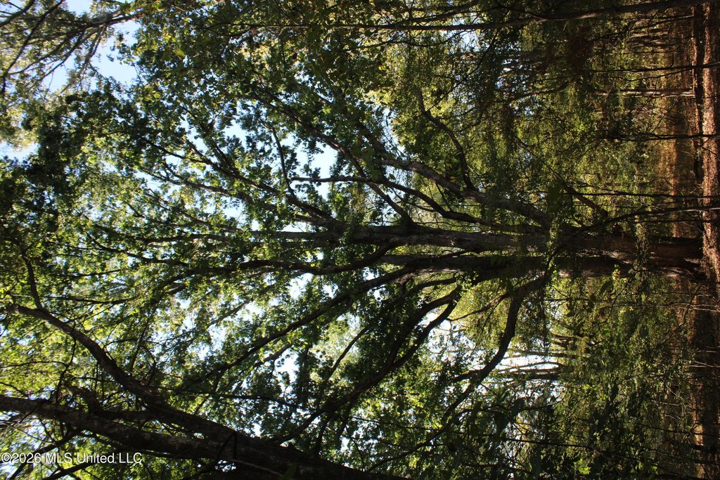 Picture 52