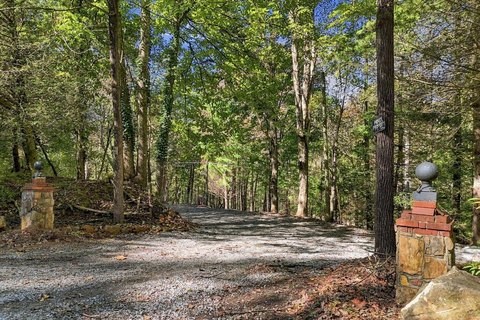 Vacant Lot, Blue Ridge, GA