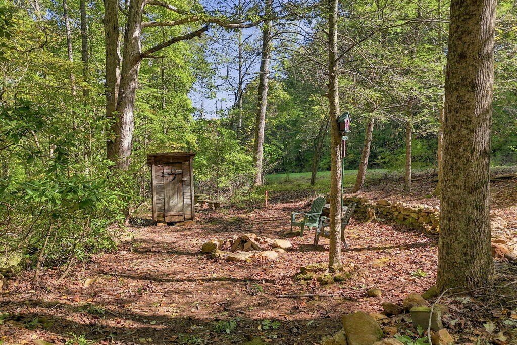 Picture 26