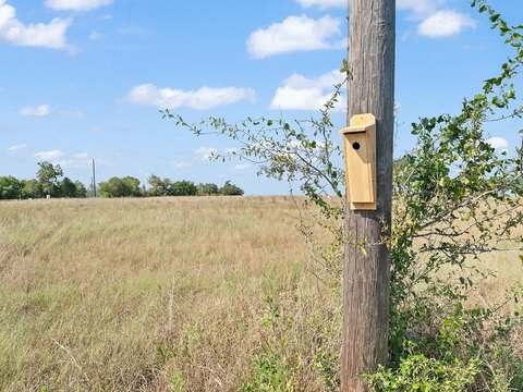 Land, Schulenburg, TX