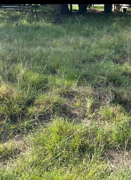 Lake Brownwood RV Lot