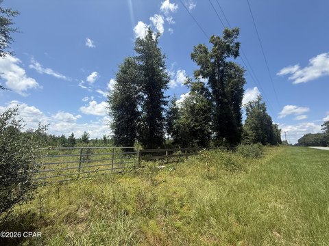 LAND - Cottondale, FL
