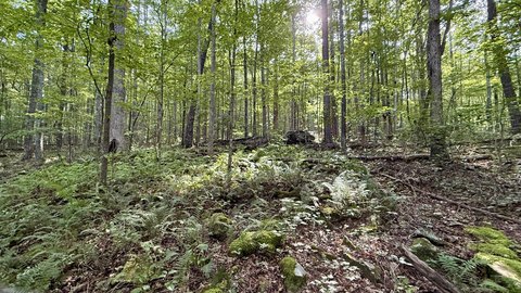 Dunlap, TN Land for Sale