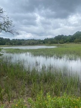 Tidal Creek Lot in Hollywood