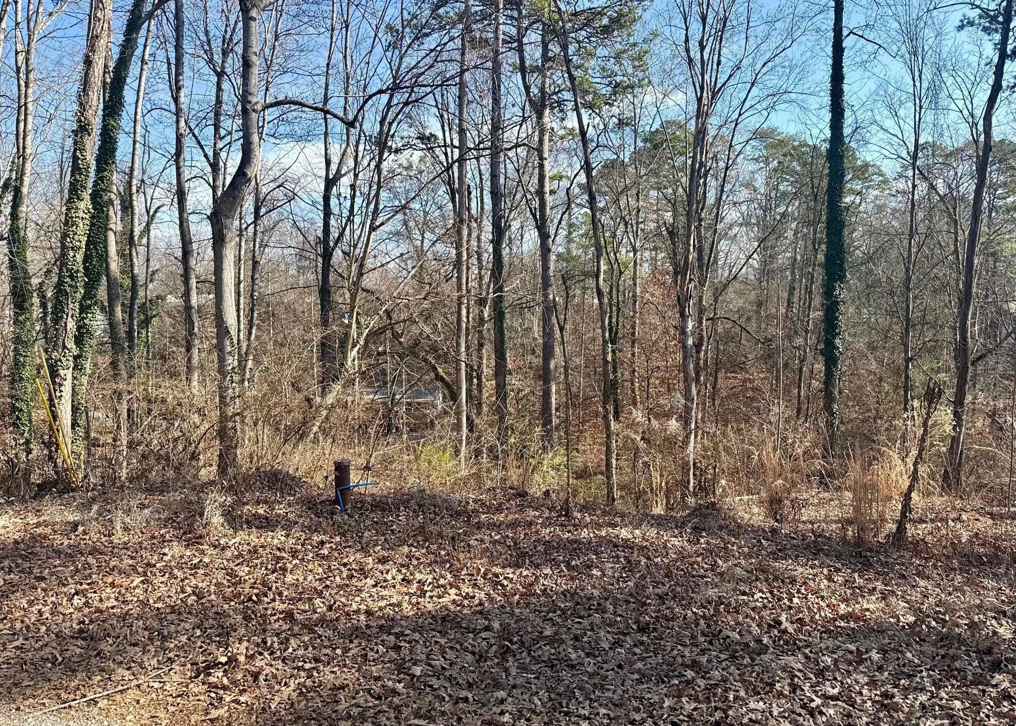 Unrestricted Land Near Douglas Lake