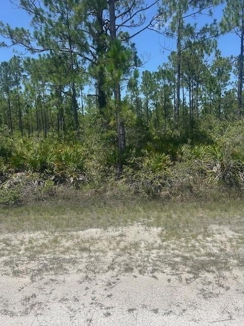 Picture 2