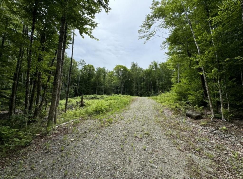 Cathance Township Land Opportunity